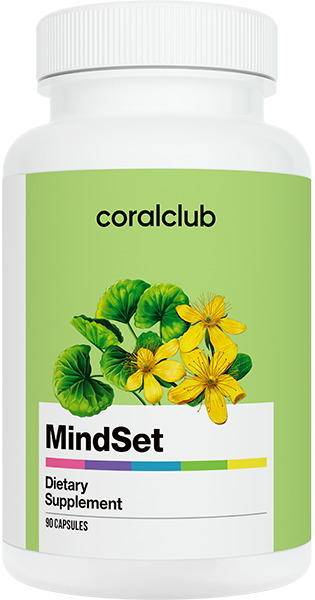 Zielprogramm: Mental Force Plus